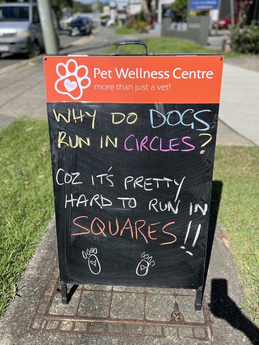 Happy Monday folks 👋😆

#petwellness #mondayfunday #morethanjusavet