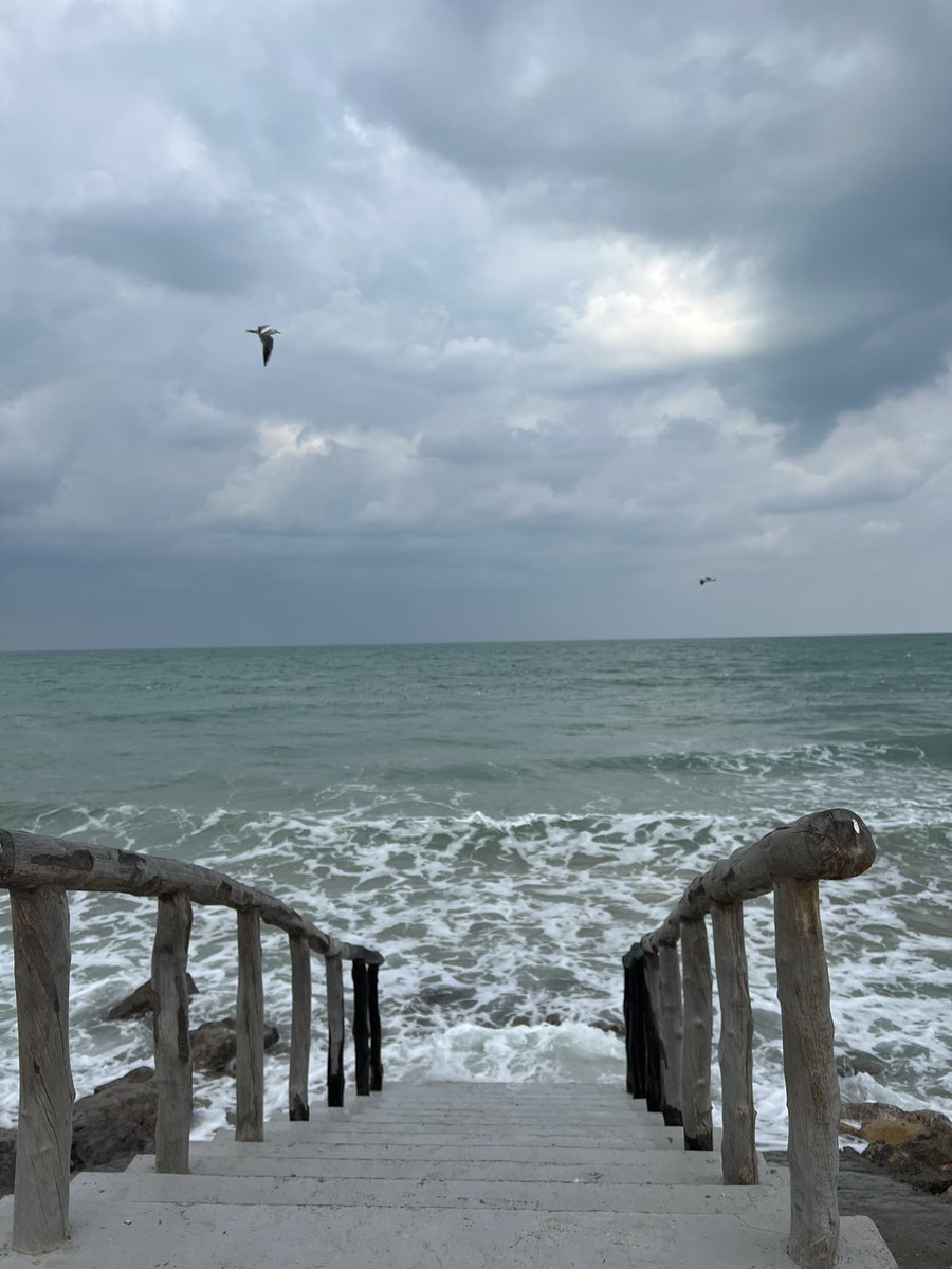 llswafll's tweet photo. no filters, no edits. -just a set of some finely feathered flying friends-. https://t.co/Rw3C1zevVw