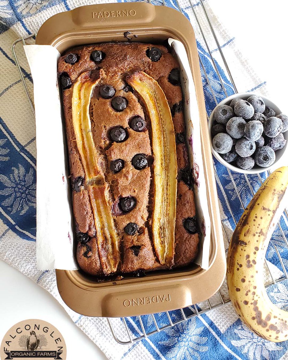 FalconglenFarms's tweet photo. Nothing beats eating delicious warm blueberry banana bread on a cold, rainy day! Loaded with ripe bananas and delicious Falconglen organic blueberries, makes this recipe naturally sweet!
https://t.co/IR42RknTFo
#FalconglenOrganicFarms #BlueberryBabanaBread
#BCBlueberries #BuyBC https://t.co/1jaF07aLIg