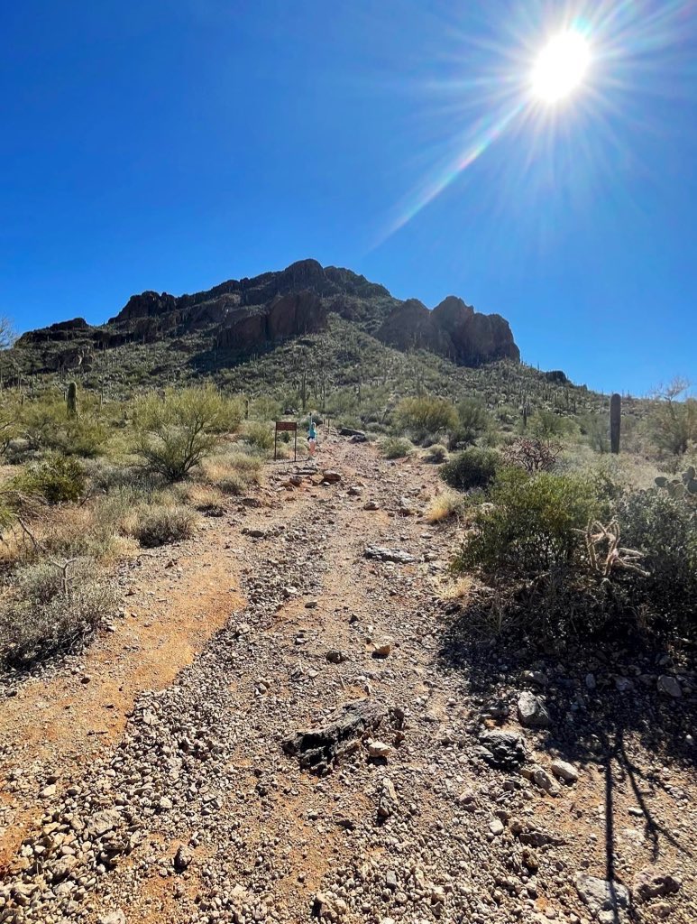totallytucson's tweet photo. Happy Sunday, #Tucson! 77 and sunny today. One fine beautiful Spring day for hiking in the desert! Trekked up #yetmantrail @SaguaroNPS at #GatesPass to see the ocotillos’ red flames in bloom. Loving my new trail shoes from @FleetFeetTucson. @VisitTucsonAZ https://t.co/WQ3nkShWLM