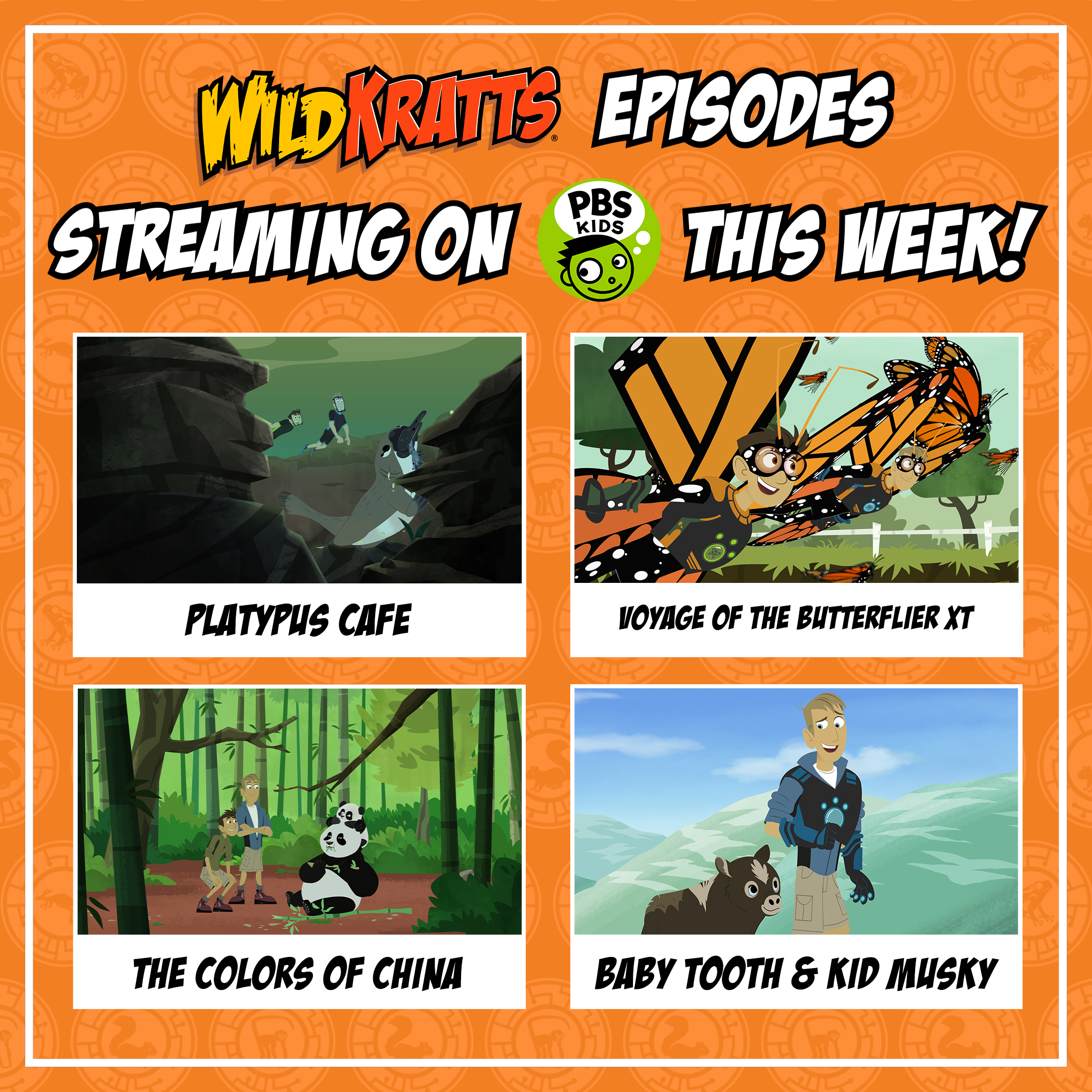 Wild Kratts on Twitter: "Wild Kratts Episodes Streaming on @pbskids
