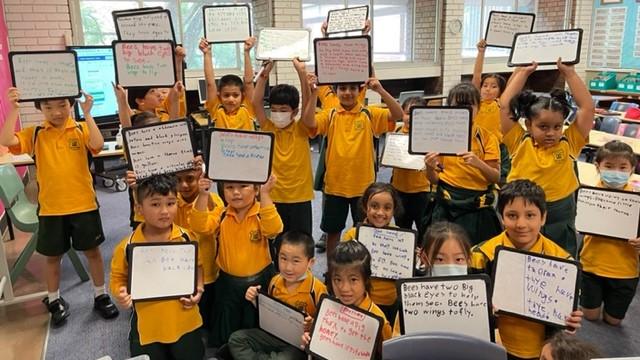 Busy busy writing bees in 2L They are buzzing with excitement as they prepare to write a description of a bees habitat #LoveWhereYouLearn #activelearners #youngwriters <a href="/janholt07/">Jan Holt</a> <a href="/maraudovicic/">MLeeson</a>