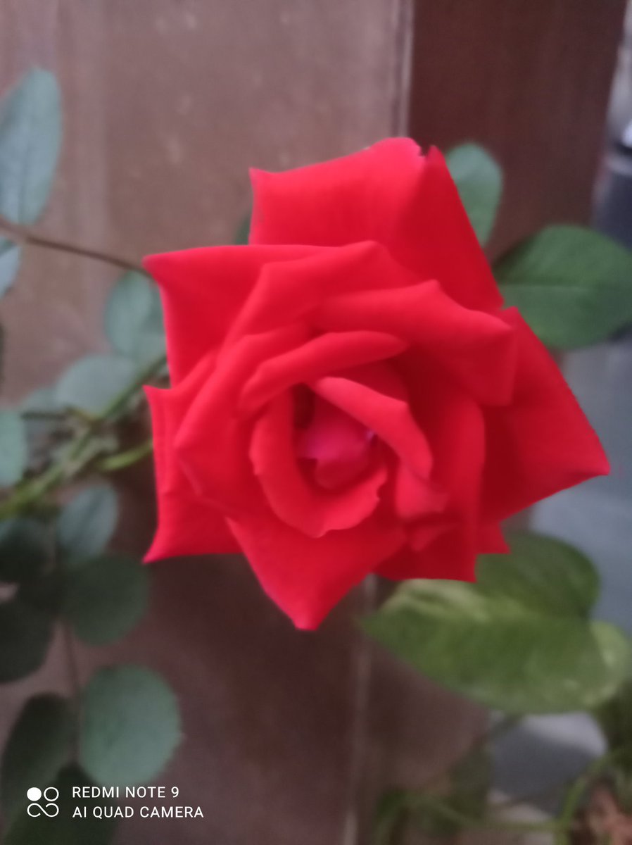amita_gaur tweet picture