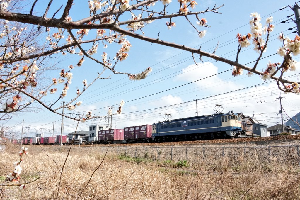 キハ702 Kiha702 Twitter