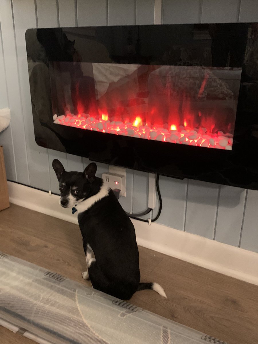 JessC_Walker's tweet photo. #3. This electronic fireplace in a home he’s never been in. https://t.co/R6sQXTq0lu