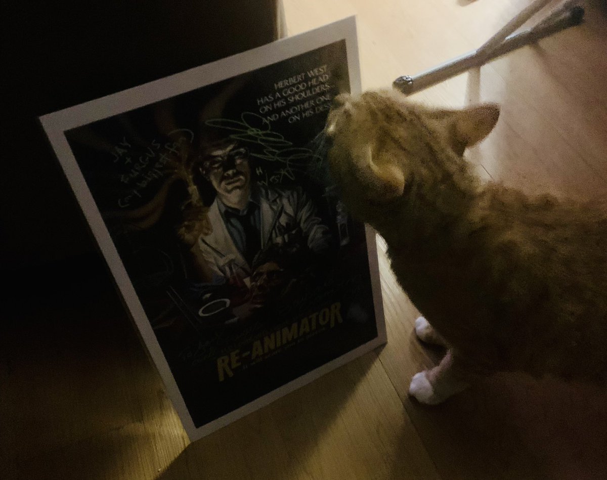 SideburnGeek's tweet photo. Thank you so much to @jeffreycombs and @barbaracrampton for signing my poster at @MonsterManiaCon for me and my kitty cat Furgus. I had an awesome time. 

#horror #horrorcon #HorrorFamily #HorrorFan #Reanimator #bestmovieever #Caturday https://t.co/4t1HUCmif4