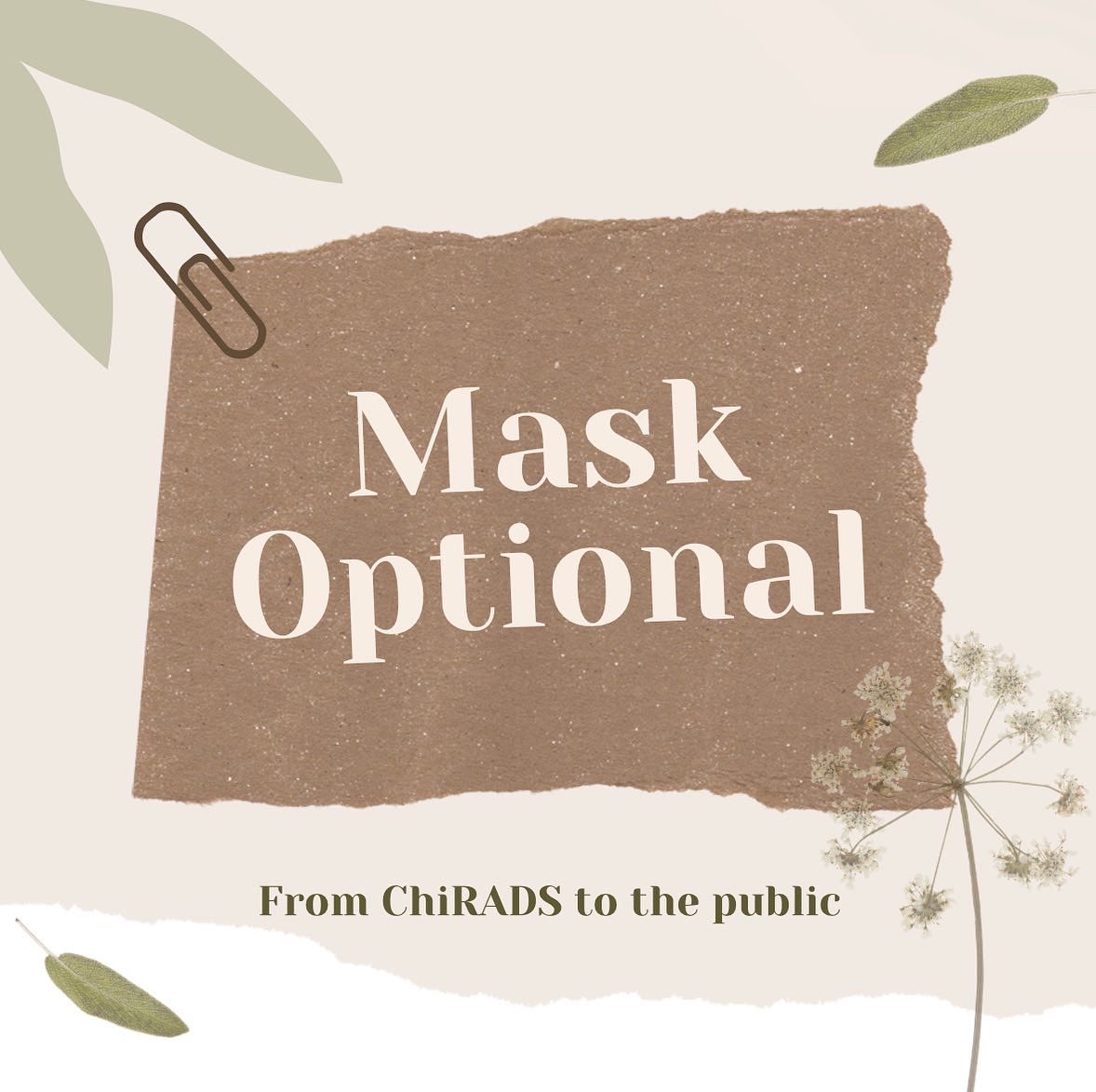 Chi-RADS tweet media