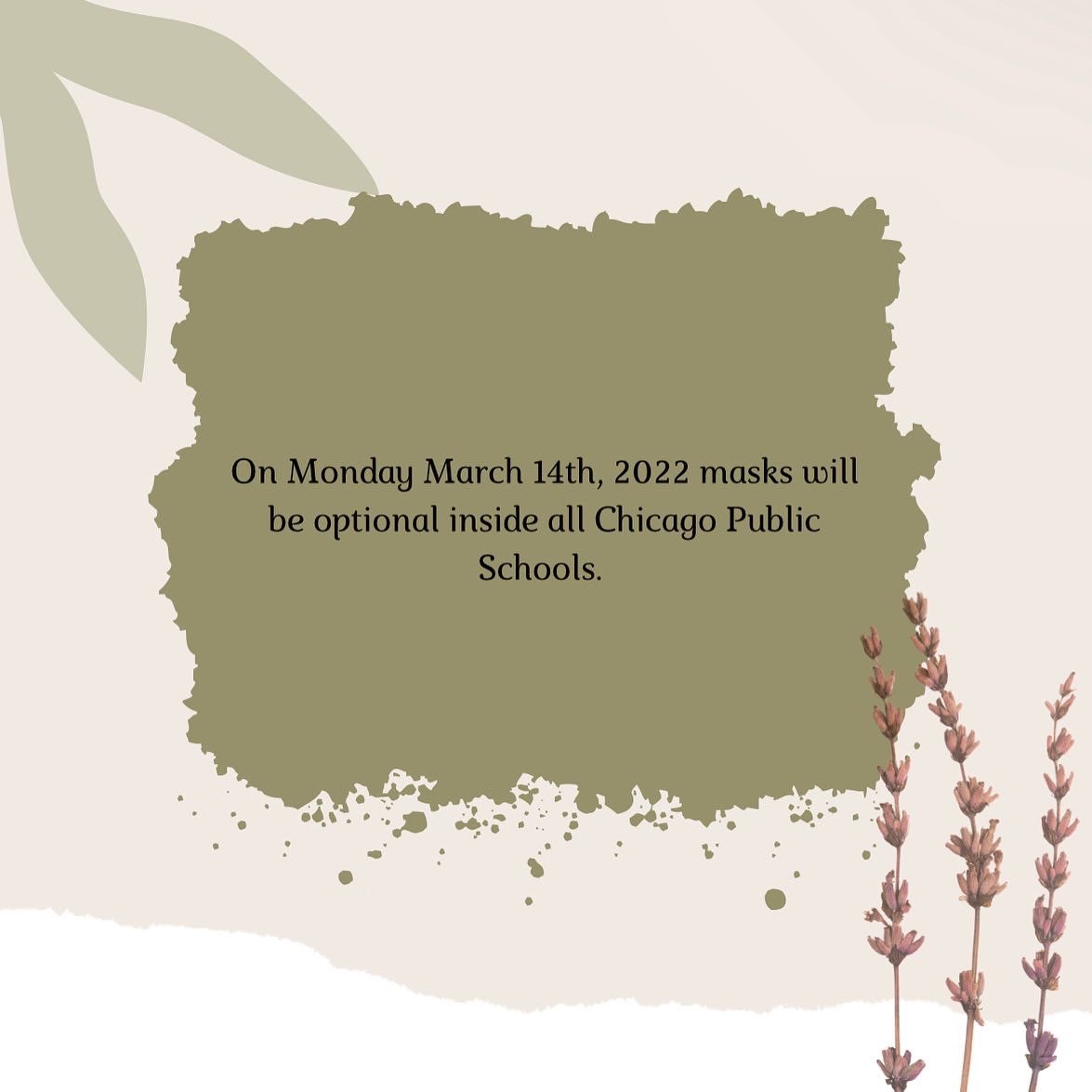 Chi-RADS tweet media