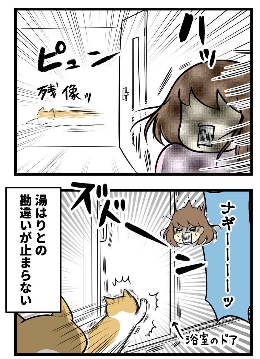 浴槽大好き猫のかなしみ

#漫画が読めるハッシュタグ #保護猫 