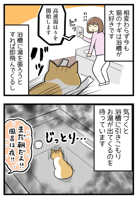 浴槽大好き猫のかなしみ

#漫画が読めるハッシュタグ #保護猫 