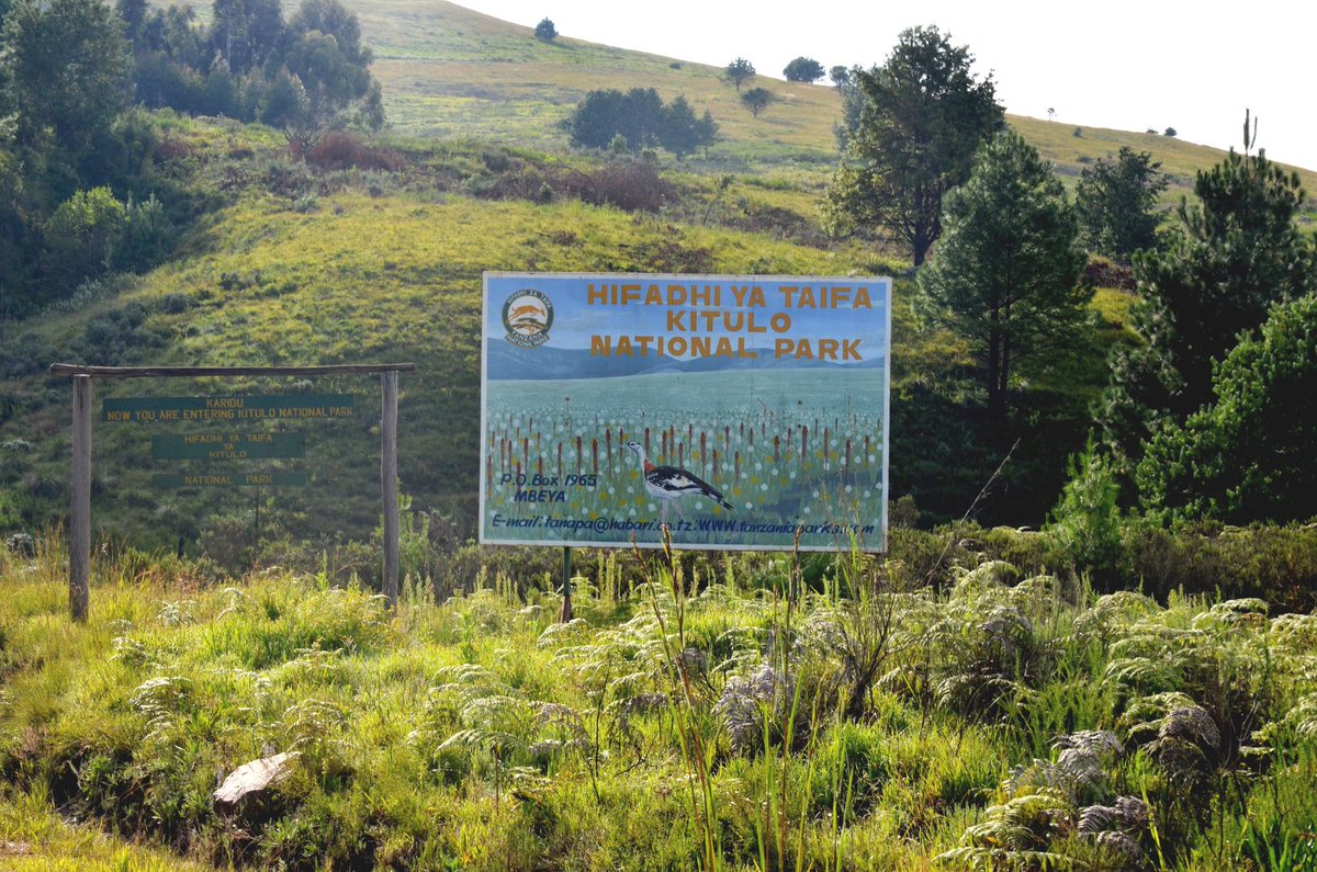 BIASHARACONNEC2's tweet photo. #VisitKitulo
#VisitTanzania https://t.co/NaSzkuNOuE