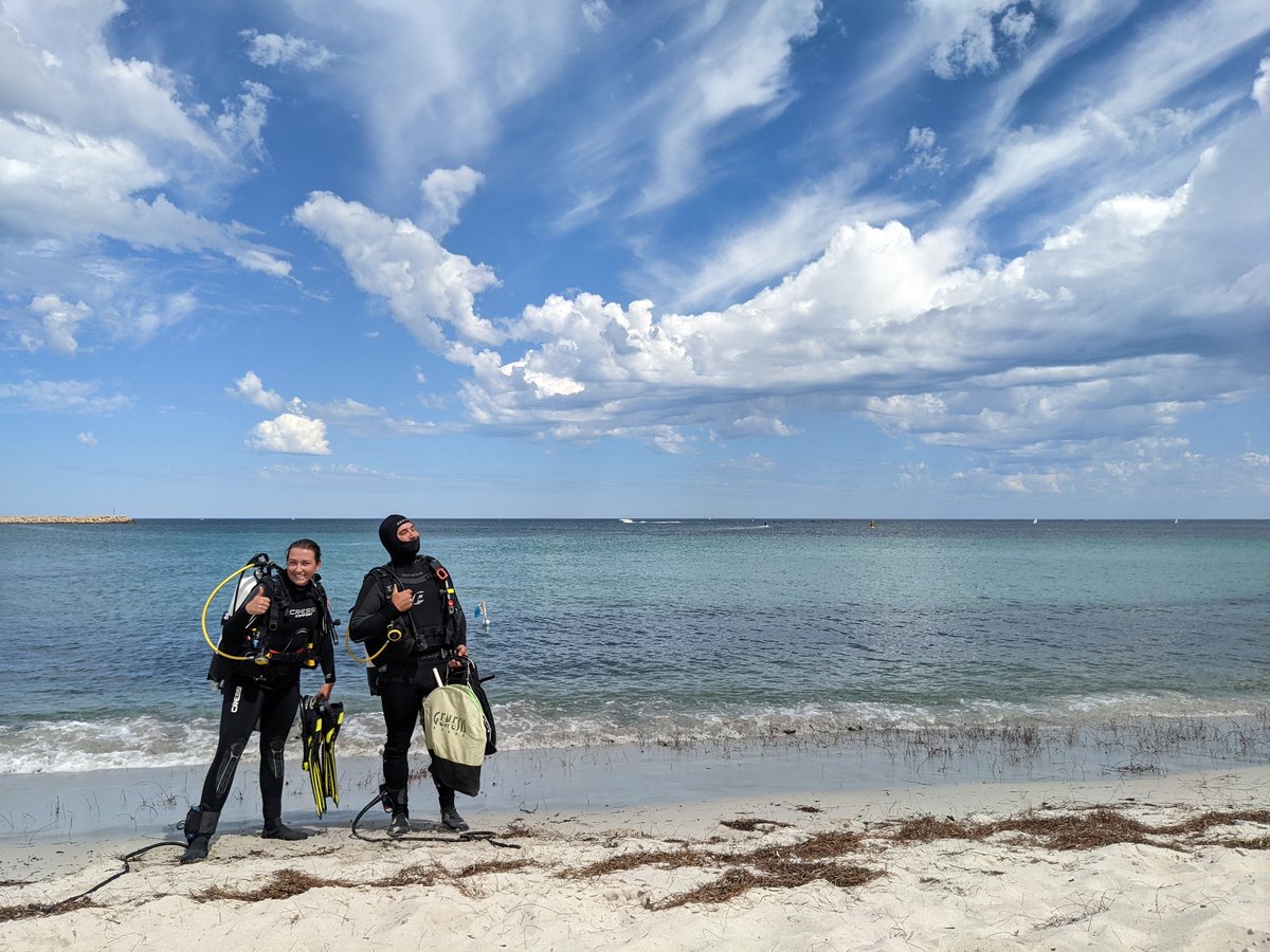 Chanelle Webster tweet media