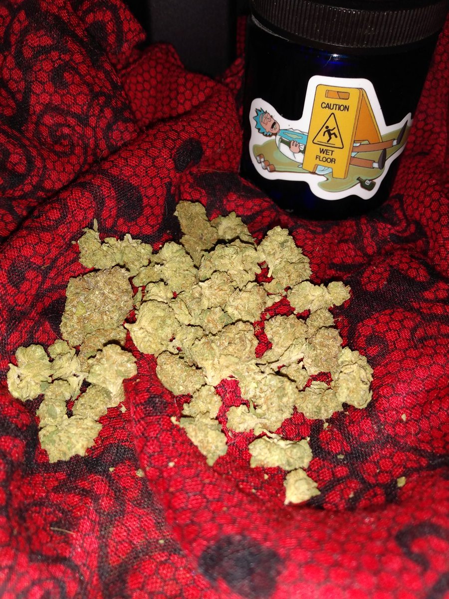 LadyBlockade's tweet photo. โบ Lil popcorn buds are my favorite! Still smokin on that Wedding Cake ๐
#420friendly #CannabisCommunity #demongirl #favoritestrain #stonergirls #stonergoth #stonervibez https://t.co/csMzba4Nxw