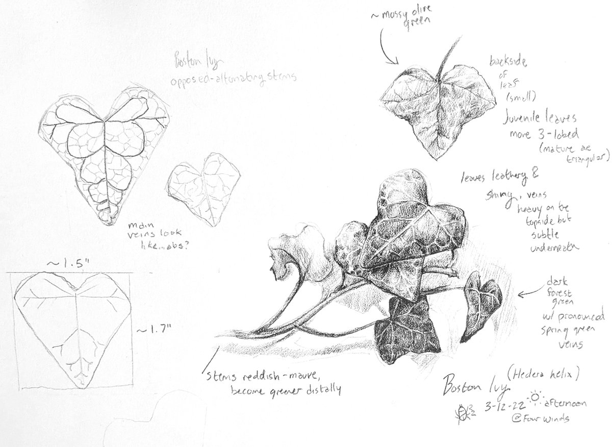 Escher A. Bug @ YEAR OF THE GROBB tweet media