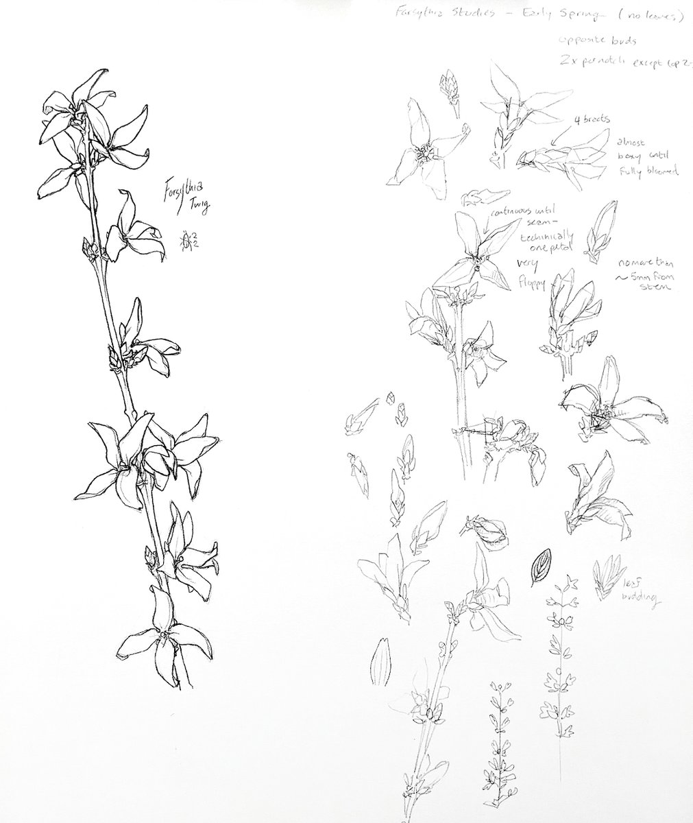 Escher A. Bug @ YEAR OF THE GROBB tweet media