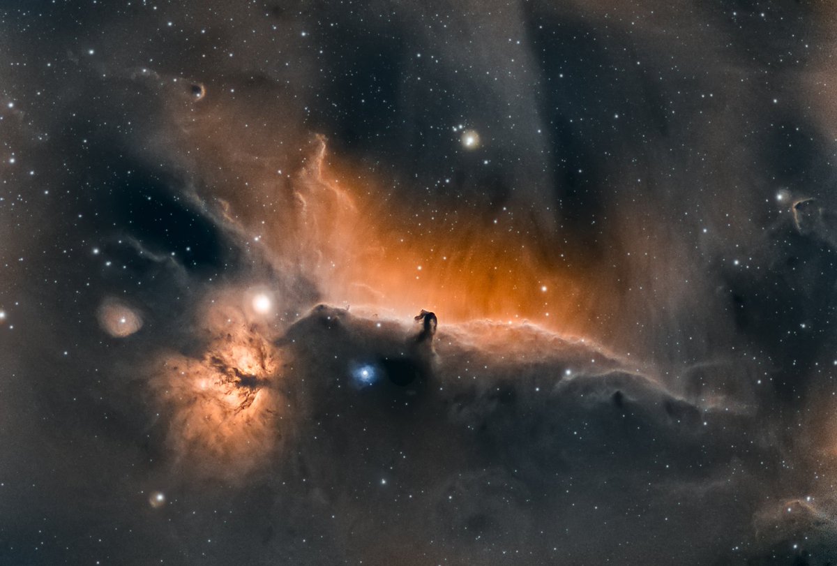 theAlexW's tweet photo. This is the horse head nebula shot from my roof in Manhattan. It is a reprocess of around 10 hours of data taken over the course of January this year. I shoot this target every year and compare my progress since it is so iconic and recognizable. #Astrophotography #everyclearnight https://t.co/LXrIAoGxL4