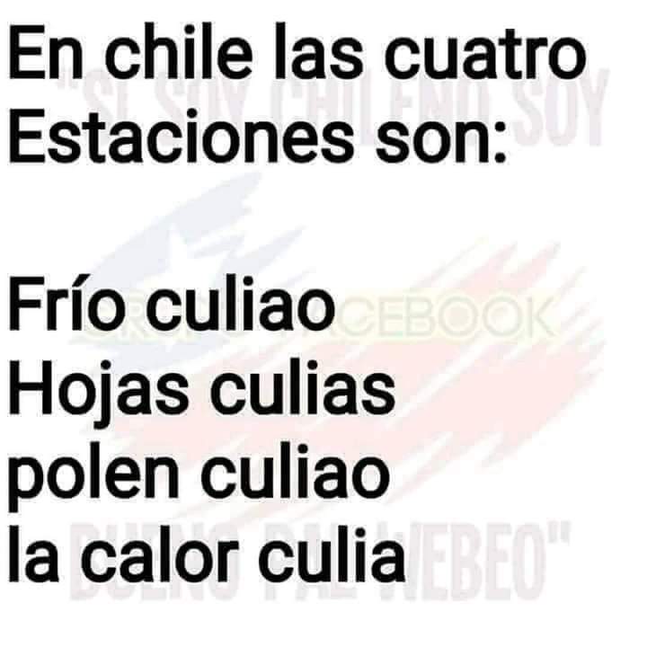 Loretitolinda's tweet image. Esta es la época de las hojas Ql....