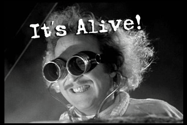 First STABLE COIN ON VECHAIN #VeChain #VET 🤖