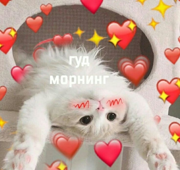 сегодня кб джи айдл!!!!