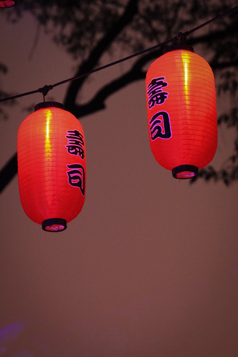 MauMx19's tweet photo. Algunas de las fotos que he tomado en #LightsOfJapan #Canon #canonmexicana @CanonMexicana #Japan #Japon https://t.co/P1JQUPjJTQ