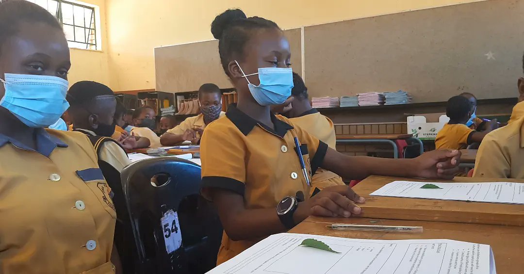 Luka_Primary's tweet photo. Our leaners being taught in class.....

#LukaPrimary
#EullafiedTech https://t.co/xVyNntF2HK