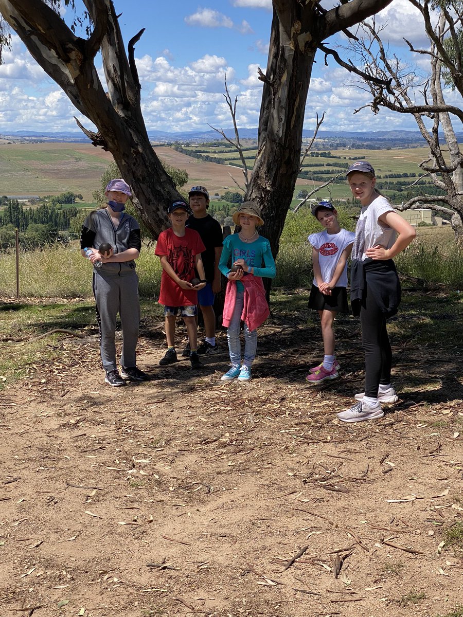 mosmanpublic's tweet photo. SC and SQ are having some fun with bowls, horse shoe and tug of war. #bathurst2022 https://t.co/MApn9AQSKp