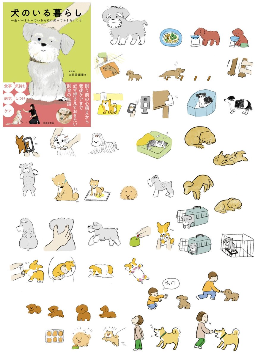 「犬のいる暮らし」発売です!【池田書店】全200点以上のイラスト、表紙を描きました。
犬を飼っている方、これから飼う方に届きますように。 