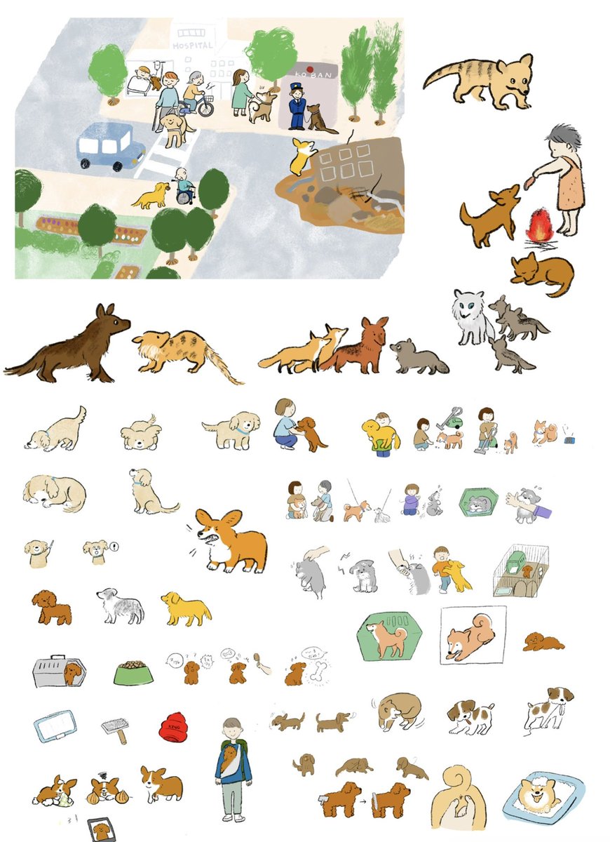 「犬のいる暮らし」発売です!【池田書店】全200点以上のイラスト、表紙を描きました。
犬を飼っている方、これから飼う方に届きますように。 