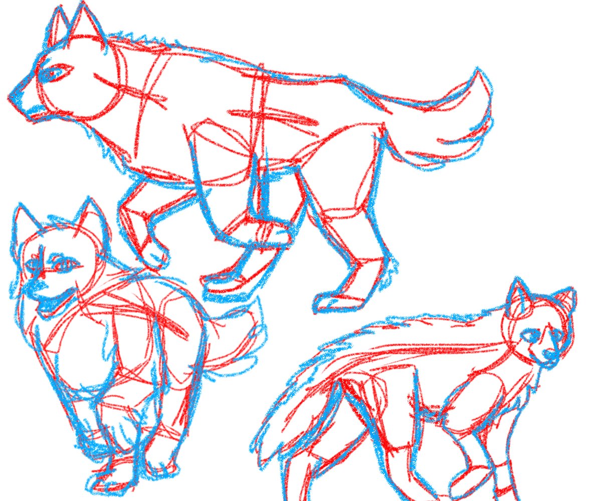 FriedDeimos's tweet photo. Wolf sketches! #wolf #drawing #sketch https://t.co/Vr89kf8Dsz