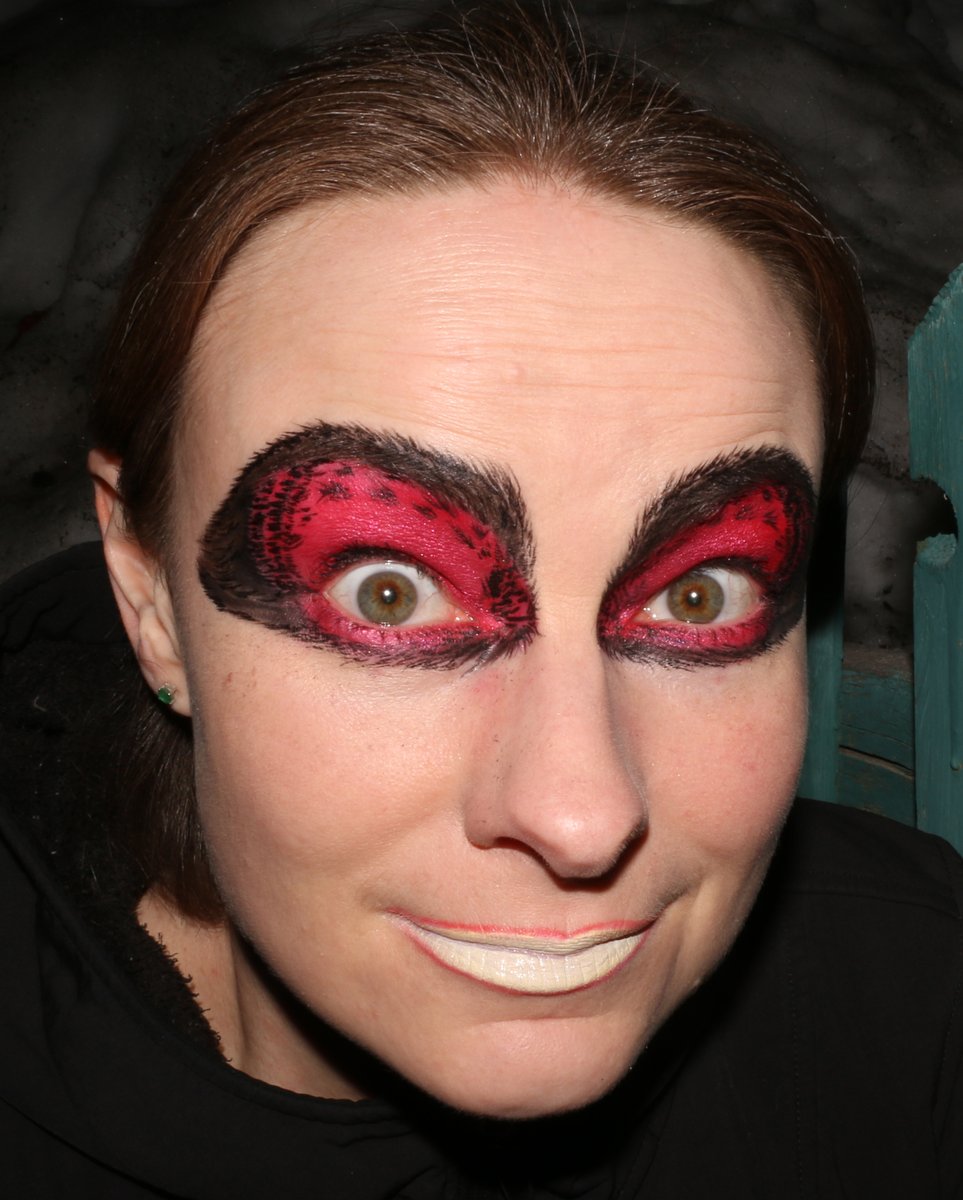 iamscicomm's tweet photo. [admin] Makeup? ✅ Makeup #scicomm? ✅ Vertebrate paleontology? ✅ What was NOT to love in Dr. Lisa Buckley's (@Lisavipes) hosting? Not only did she play #NameThatTrack with us, but she also held intriguing conversations on career changes and the challenges involved. https://t.co/tSvGuhxyjj