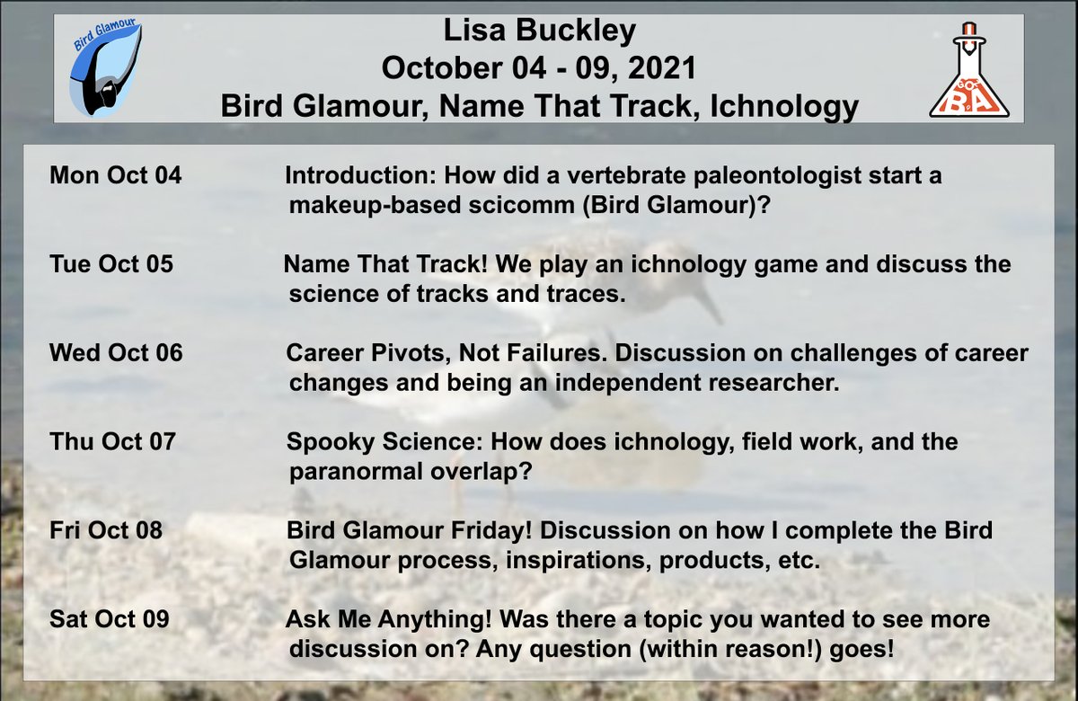 iamscicomm's tweet photo. [admin] Makeup? ✅ Makeup #scicomm? ✅ Vertebrate paleontology? ✅ What was NOT to love in Dr. Lisa Buckley's (@Lisavipes) hosting? Not only did she play #NameThatTrack with us, but she also held intriguing conversations on career changes and the challenges involved. https://t.co/tSvGuhxyjj