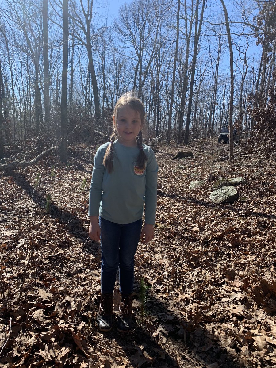 ZacBottoms's tweet image. Got out and got our hands dirty today helping Nana and Pop replant after a much needed cut. A lot of fun and now we can track the growth of trees and see our hard work pay off. #GirlDad #ValueofWork #TheGoodStuff