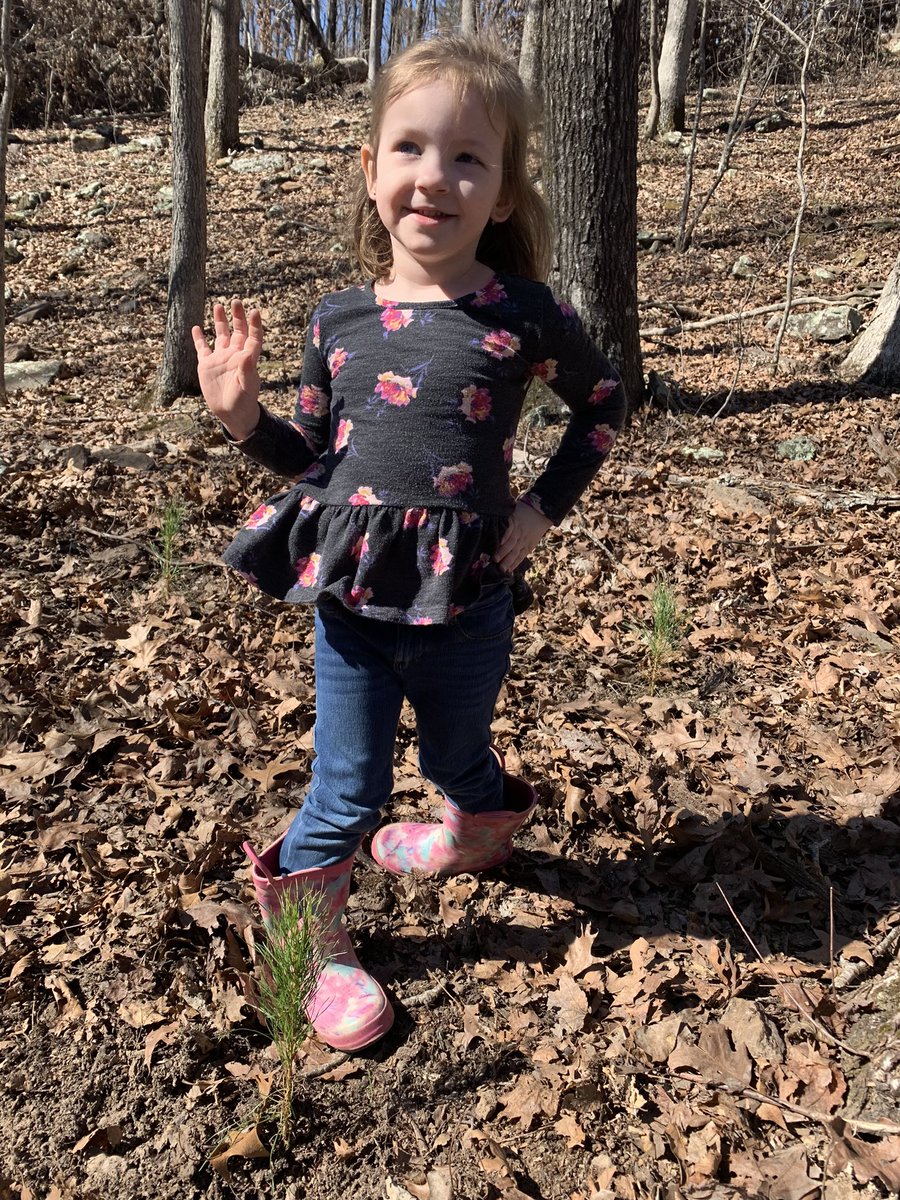 ZacBottoms's tweet image. Got out and got our hands dirty today helping Nana and Pop replant after a much needed cut. A lot of fun and now we can track the growth of trees and see our hard work pay off. #GirlDad #ValueofWork #TheGoodStuff