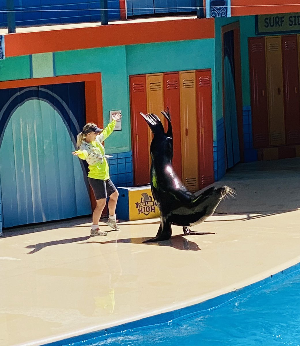 dollarchampagne's tweet photo. Day 1 of Spring Break @SeaWorldtexas was a success. Keep an eye on https://t.co/GiBp9KGXJj for a Things to Do in San Antonio post coming soon #seaworldsanantonio #champagneondeck #texasvacation #familytime #sanantonio https://t.co/61J4vTM76x
