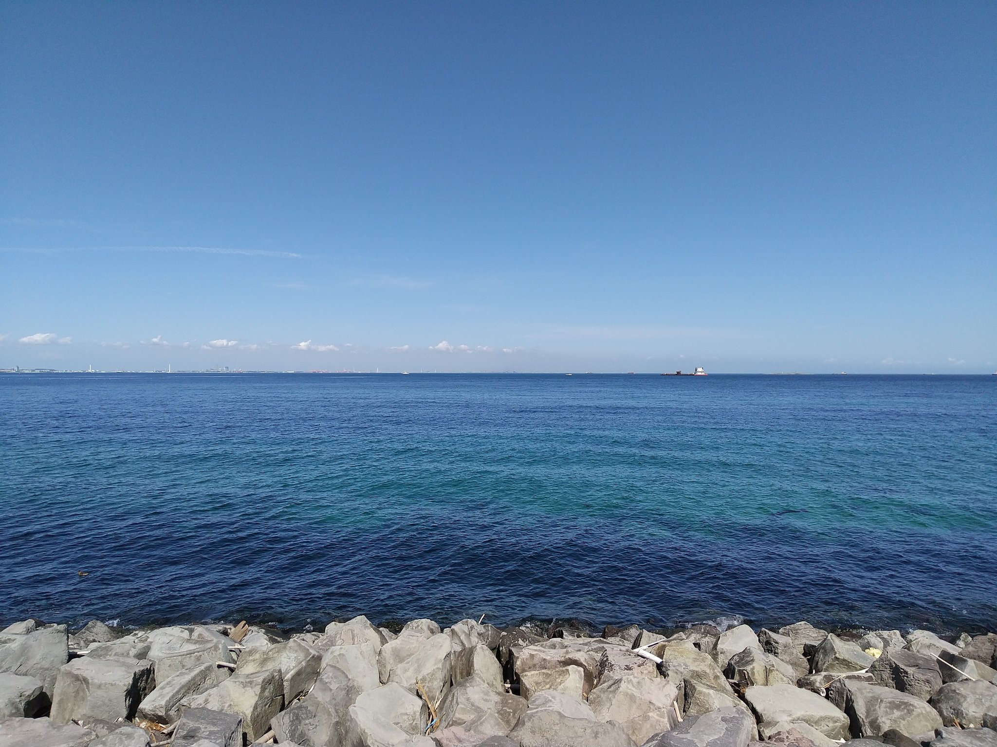 蜂須賀 智隆 (verycrazybee) / Twitter