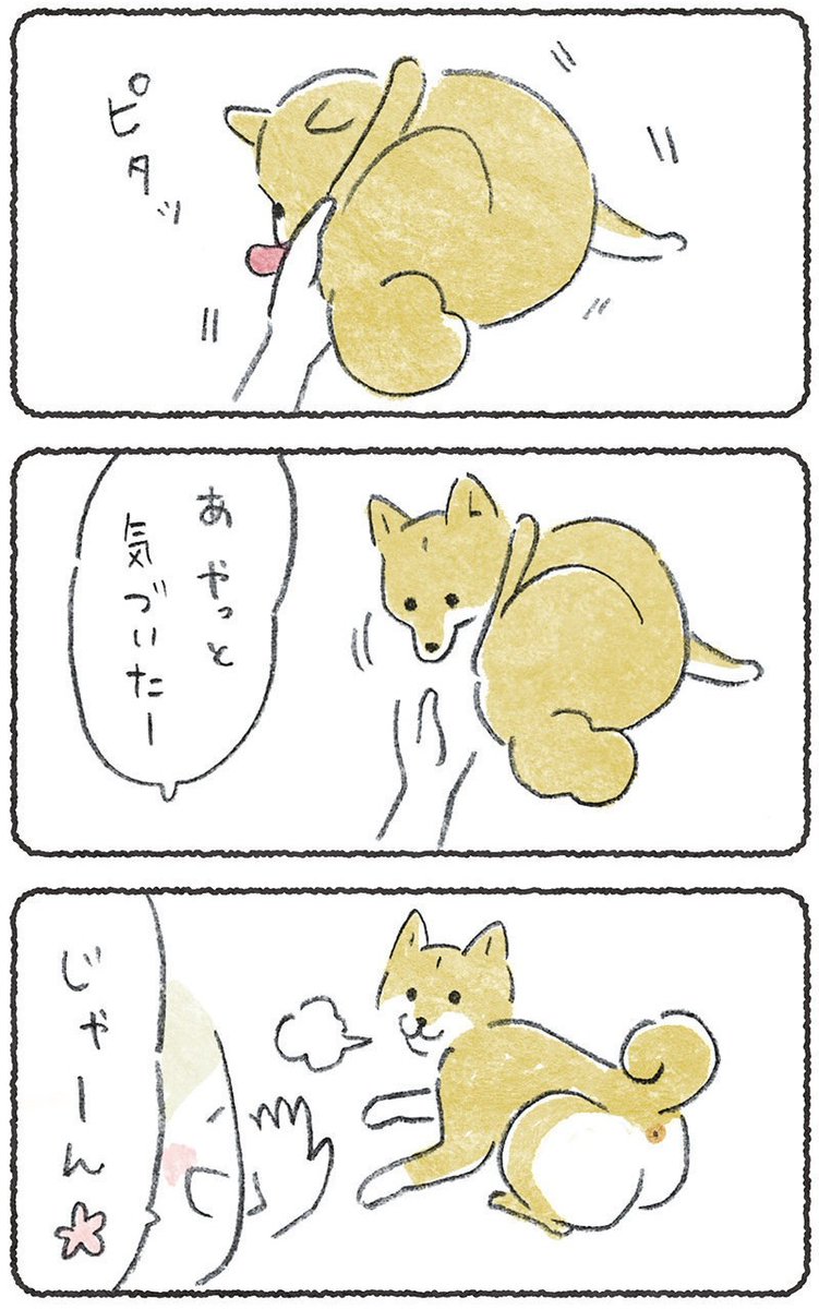 しりペロに手をだしたらそのまま・・・

(1/2)
#豆しばこつぶ 