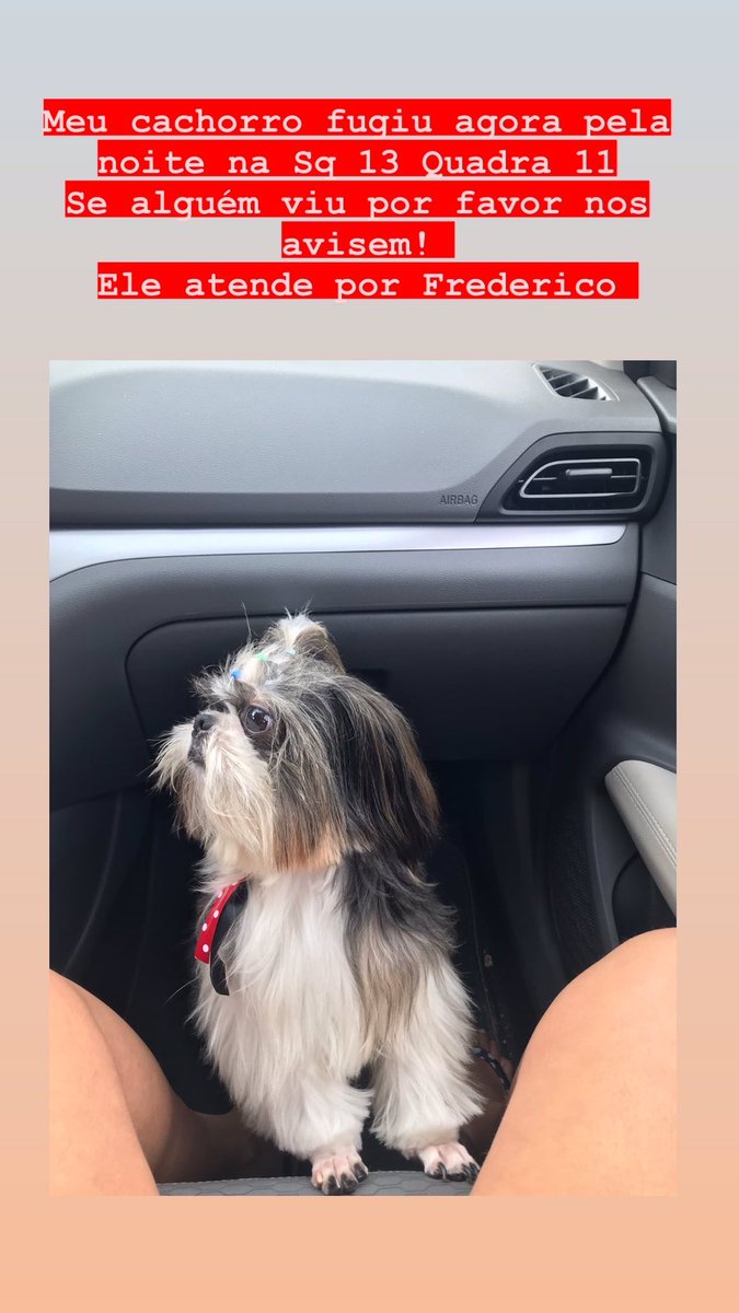 HeloisaaCastro's tweet photo. Me ajudem por favor! 🙏🏽😭 https://t.co/3lvkG0Hpv4