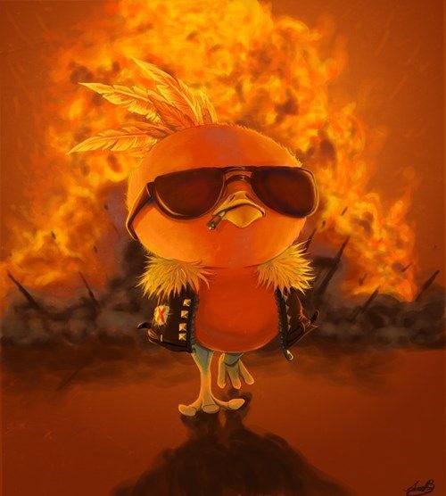 LeahHoyer's tweet photo. @michaelyichao Small but fiery. #TeamTorchic https://t.co/7tGovlbz0C