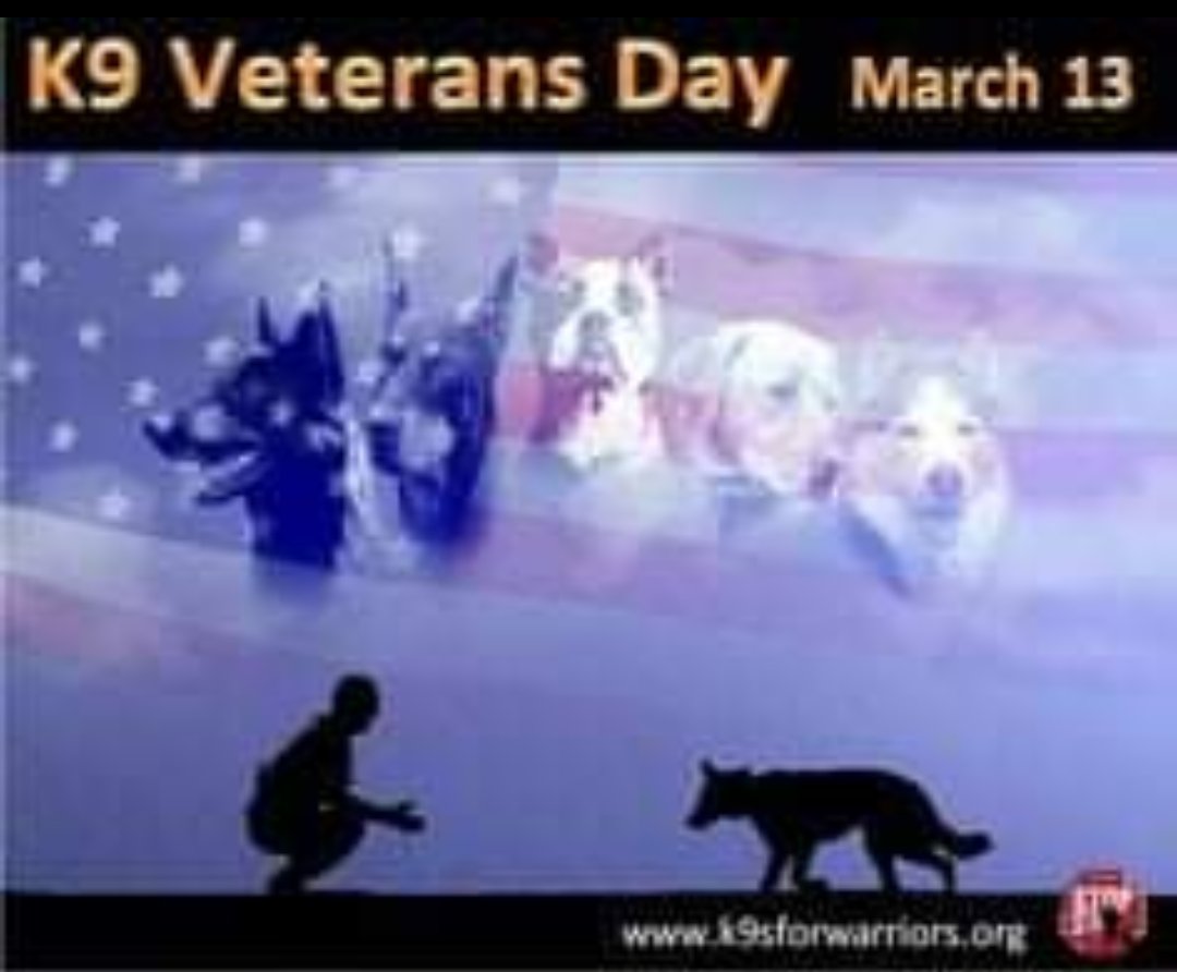 BLOCKYDOGS's tweet photo. Today is #NationalK9VeteransDay https://t.co/sUxjVnsgB9