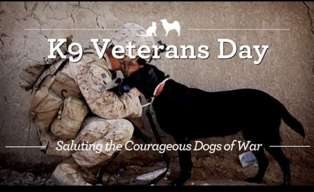 BLOCKYDOGS's tweet photo. Today is #NationalK9VeteransDay https://t.co/sUxjVnsgB9