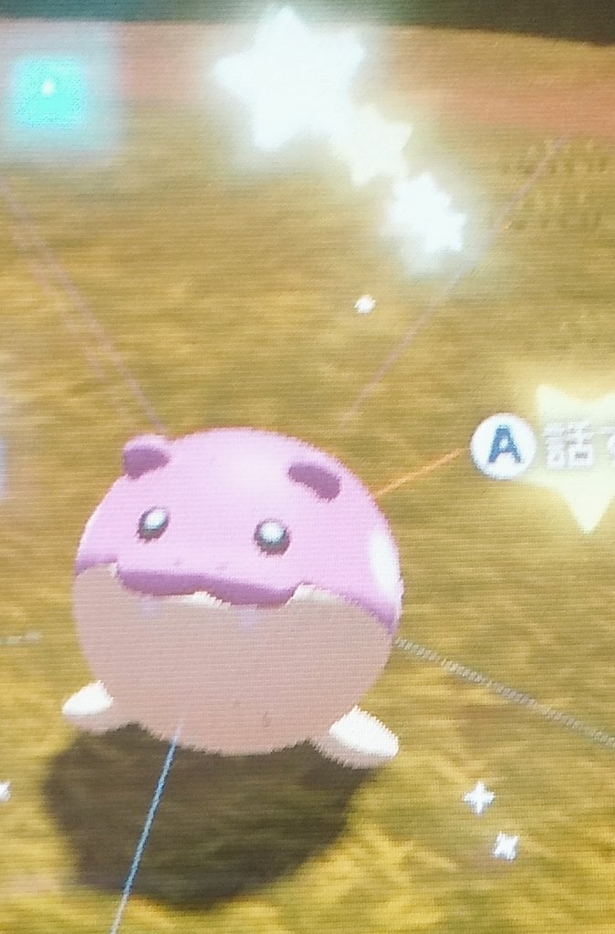 新かずポケ 色違いタマザラシ トドグラー トドゼルガget 発生場所についた途端に出てきました 嬉しい Bw2の時 手持ちに入れてたので思い出深い 色違いポケモン タマザラシ トドグラー トドゼルガ T Co Zehhlphggn Twitter