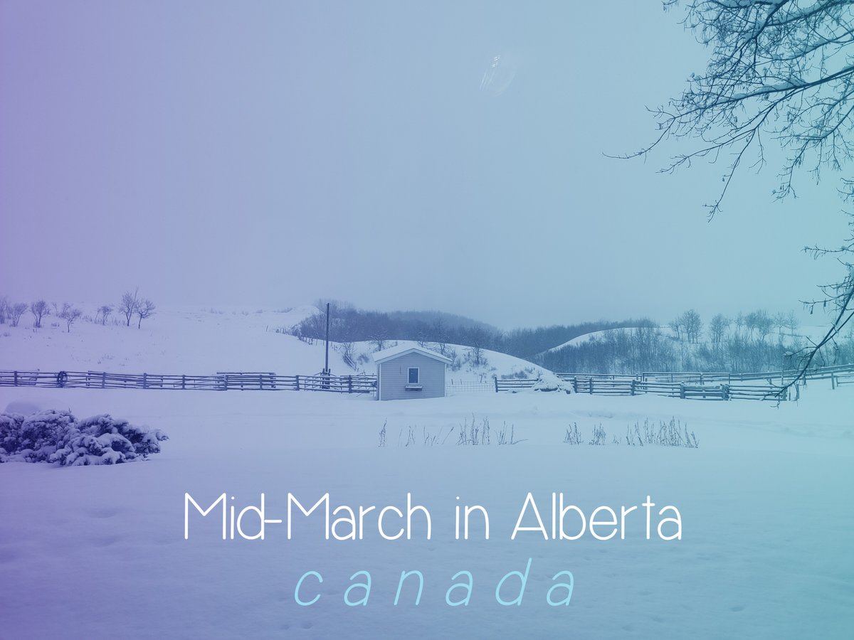 carolinerparke's tweet photo. #HappyHumpDay We are BURNING through march and I am so anxious for summa time! #Alberta winters last FOREVA!! #Creativesarenotokay #Gottasing https://t.co/QW0NB8lwCo