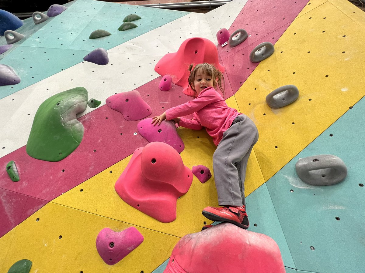 Ario Jafarzadeh tweet media