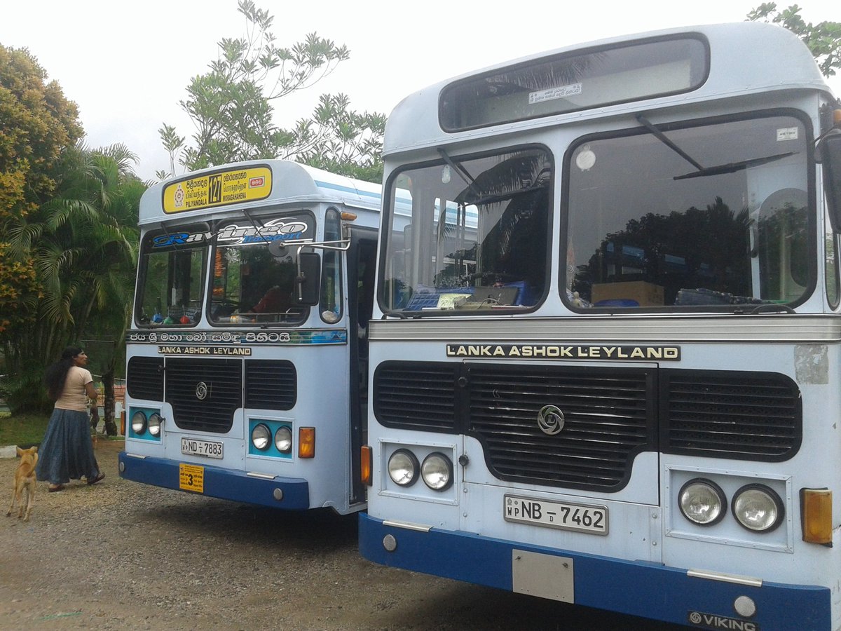 Dimuthu Sampath (@dimuthu06323765) on Twitter photo 