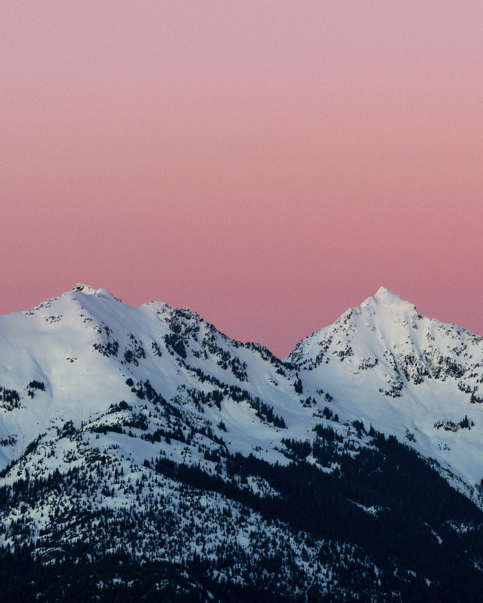 ShonPurdy's tweet image. day dreaming