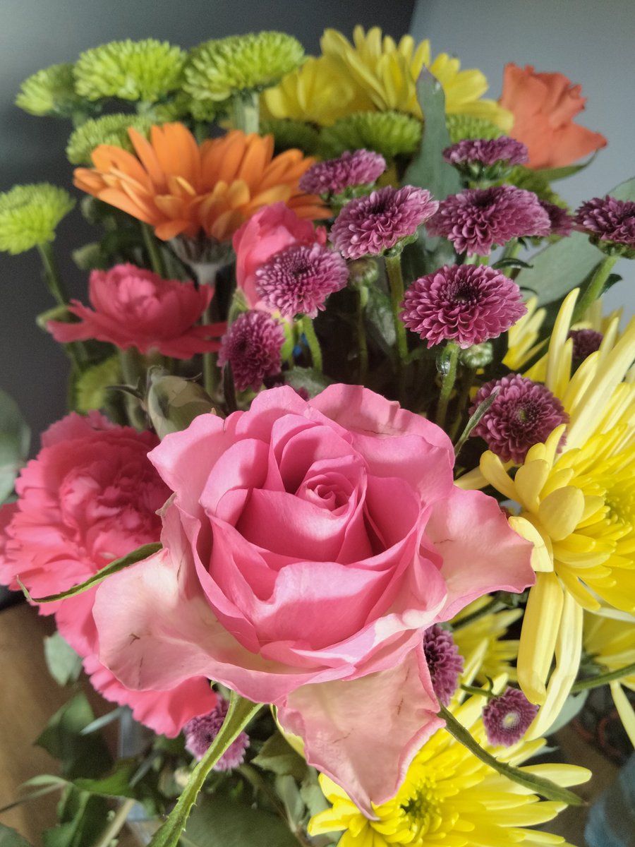 ashgateWB's tweet photo. It's the small acts of kindness that really go a long way. Thank you #Stephie for my beautiful flowers! https://t.co/tiKGz5EDFU