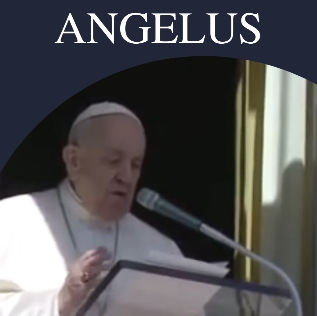 "...Peço a todas as comunidades diocesanas e religiosas que aumentem os momentos de oração pela paz. Deus é apenas o Deus da paz, ele não é o Deus da guerra, e aqueles que apoiam a violência profanam o seu nome..."
vatican.va/content/france…