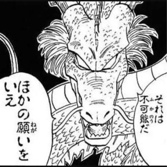 ベニガシラ 神龍 お金に余裕があって ストレスがなくて 将来への不安がない人生にしておくれ Twitter