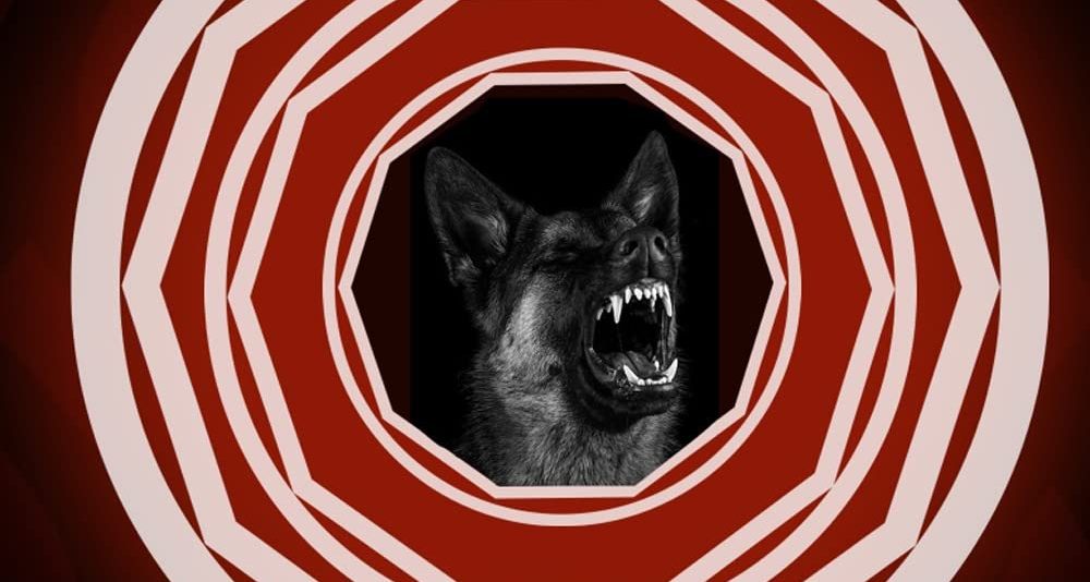 "Quando le belve arriveranno" di Alfredo Palomba è una storia dalle atmosfere lynchane che prova a interrogarsi sulle radici del male in ciascuno di noi. Romanzo specchio di una società incapace di sentire qualcosa che non sia la forza terribile del male.
lindiependente.it/le-belve-arriv…