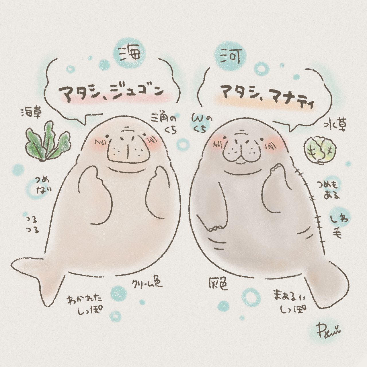 Poripori ジュゴンとマナティ イラスト Illust 絵 Potofu ジュゴン マナティ T Co 8mk1eplkon Twitter Poripori ジュゴンとマナティ イラスト Illust 絵 Potofu ジュゴン マナティ T Co 8mk1eplkon Twitter